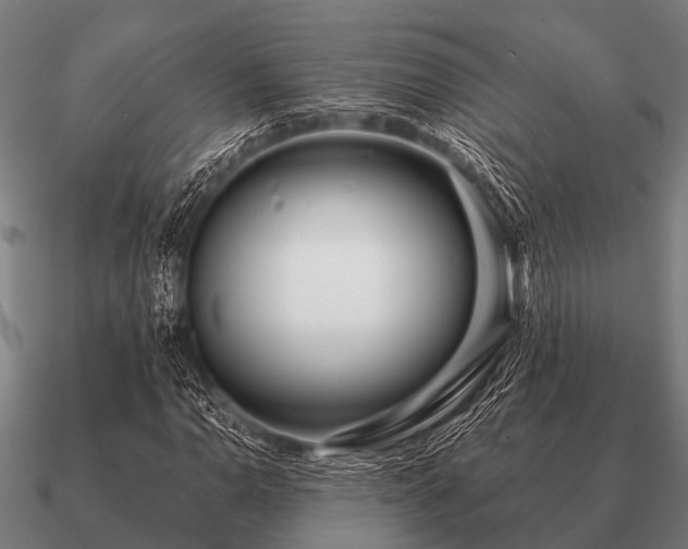 X0000090901110200708061459