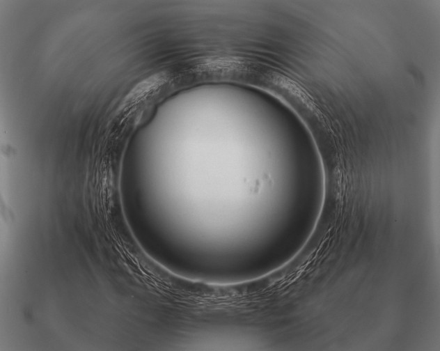 X0000090901111200708061459