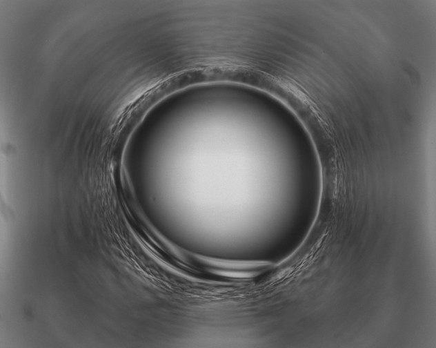 X0000090901112200708061459