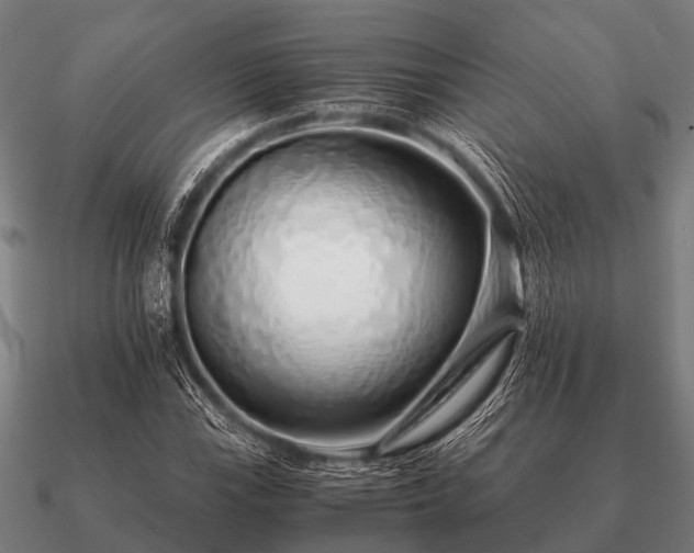 X0000090901115200708061459