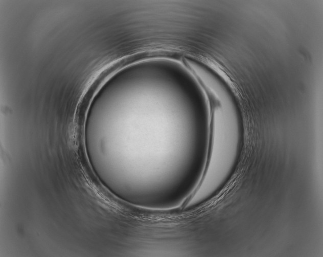 X0000090901116200708061459