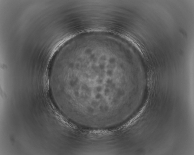 X0000090901117200708061459