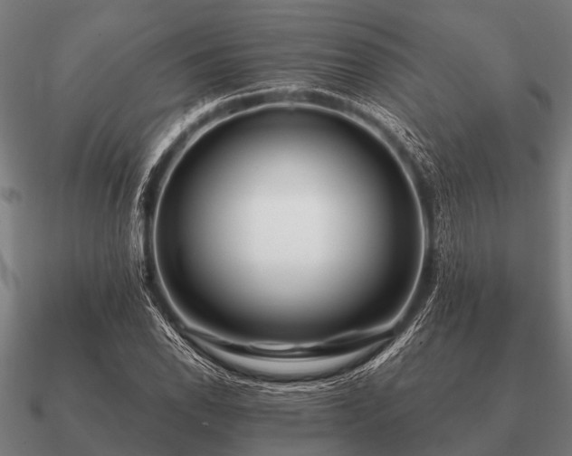 X0000090901118200708061459