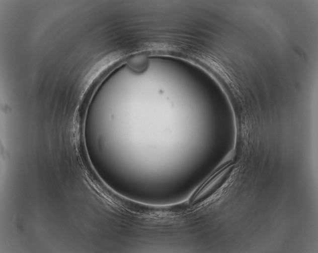 X0000090901119200708061459