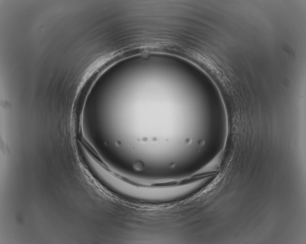 X0000090901122200708061459