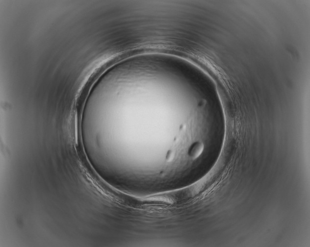 X0000090901123200708061459