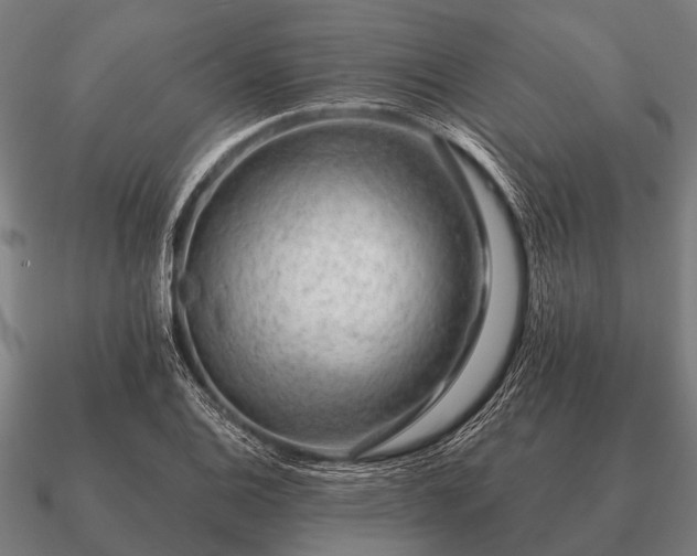 X0000090901124200708061459