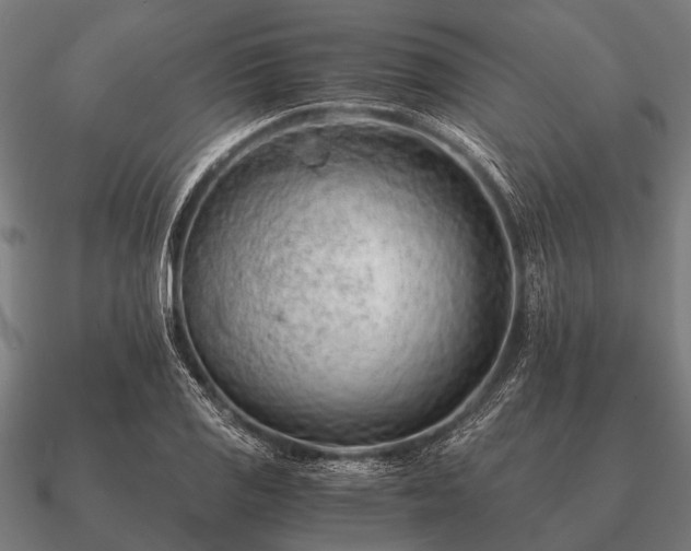 X0000090901125200708061459