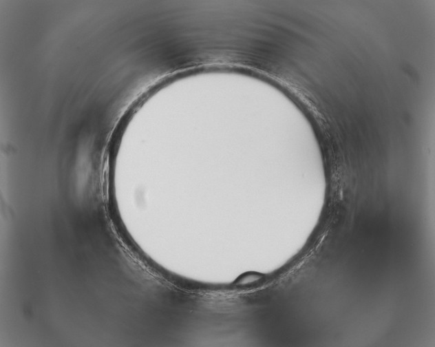 X0000090901126200708061459