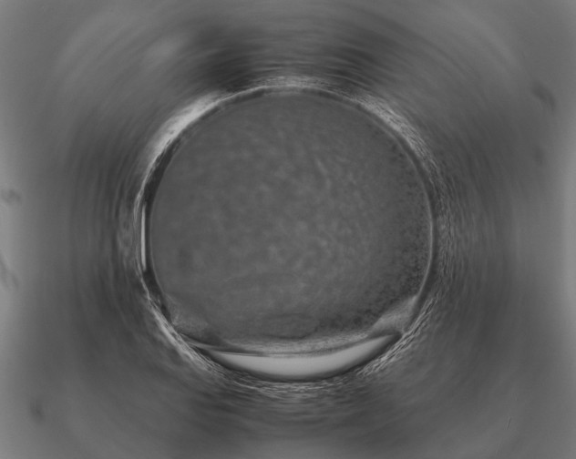 X0000090901127200708061459