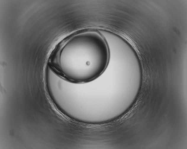 X0000090901128200708061459