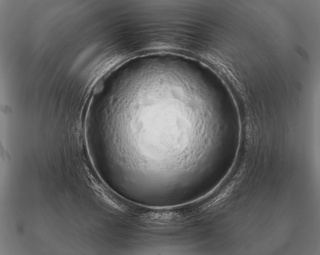 X0000090901129200708061459