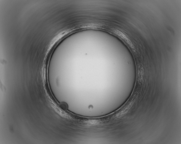 X0000090901130200708061459