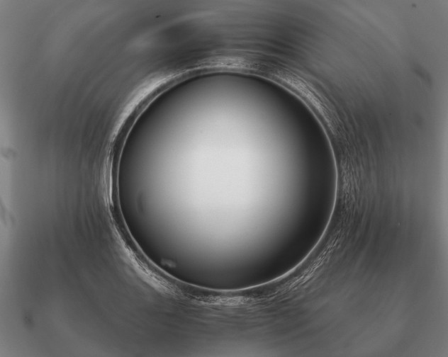 X0000090901131200708061459