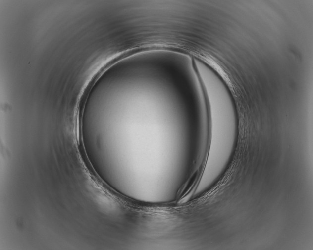 X0000090901132200708061459