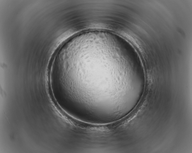 X0000090901133200708061459