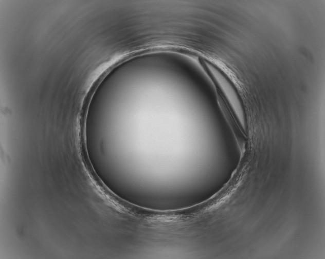 X0000090901134200708061459