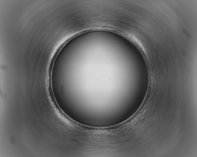 X0000090901136200708061459