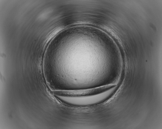 X0000090901137200708061459