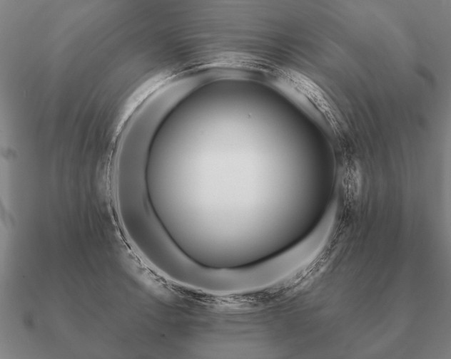 X0000090901138200708061459