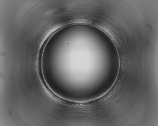 X0000090901139200708061459