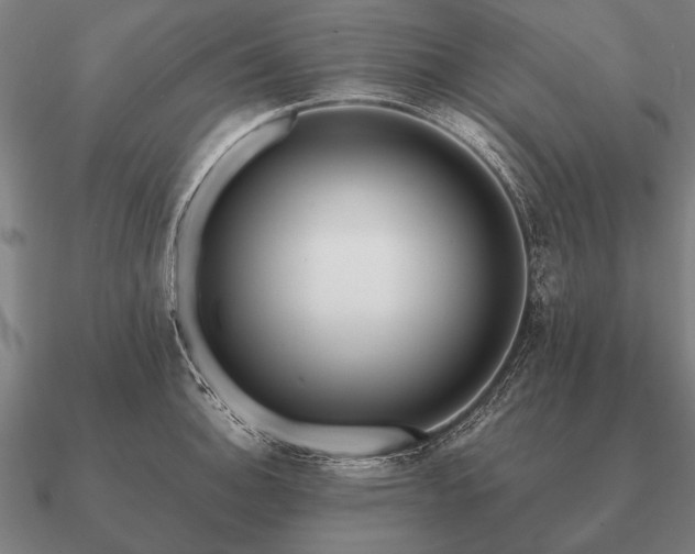 X0000090901140200708061459