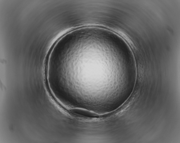 X0000090901142200708061459