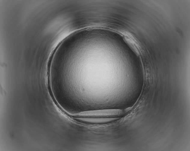 X0000090901143200708061459