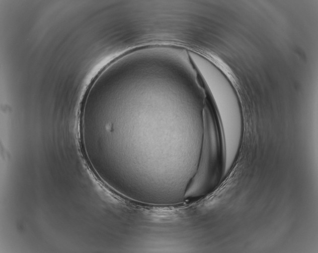 X0000090901144200708061459