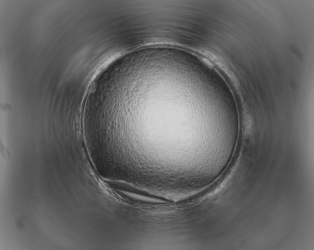 X0000090901145200708061459