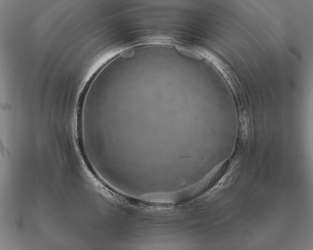 X0000090901147200708061459