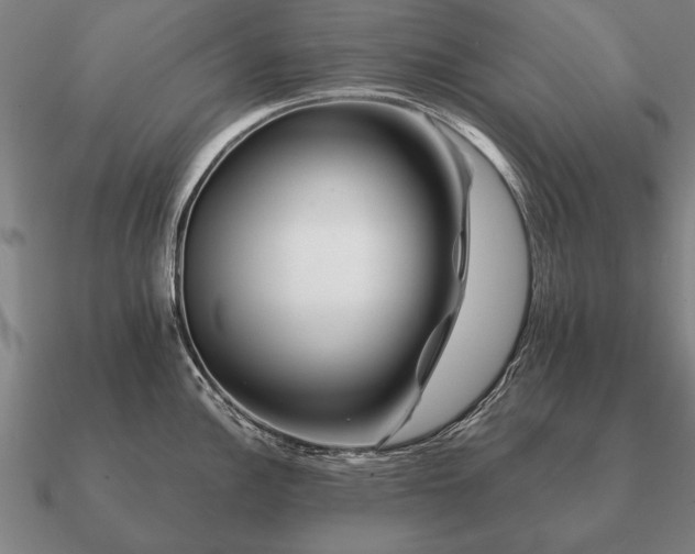 X0000090901148200708061459