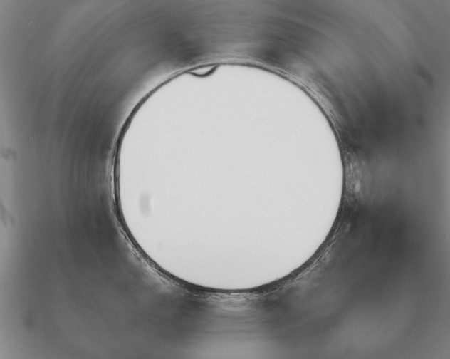 X0000090901150200708061459