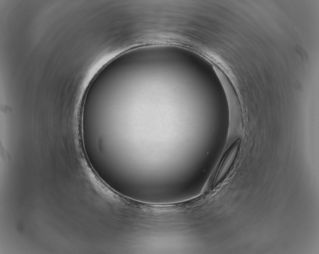 X0000090901152200708061459