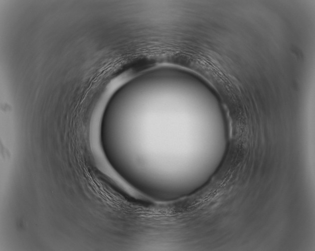 X0000090901153200708061459