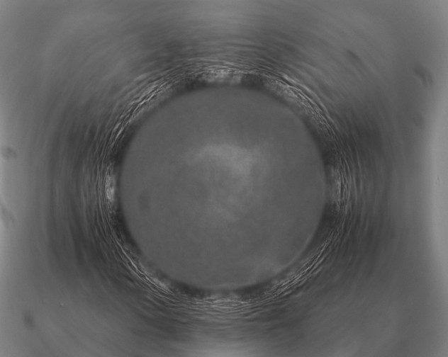 X0000090901154200708061459