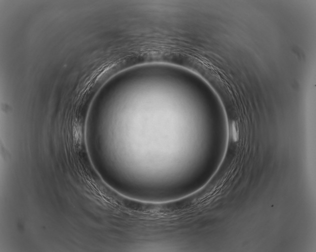 X0000090901155200708061459