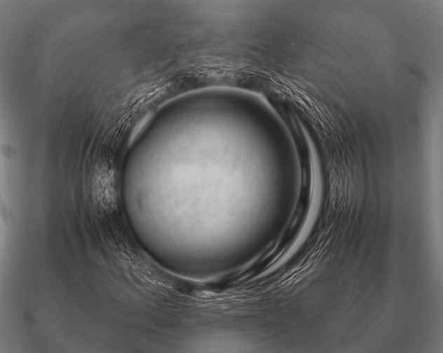 X0000090901156200708061459