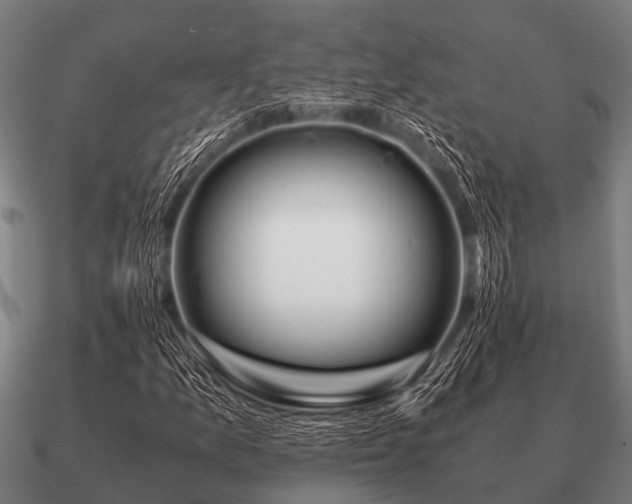 X0000090901157200708061459