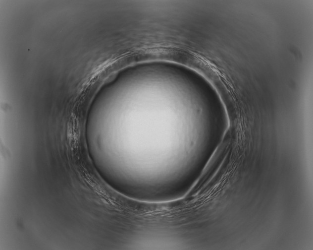 X0000090901158200708061459