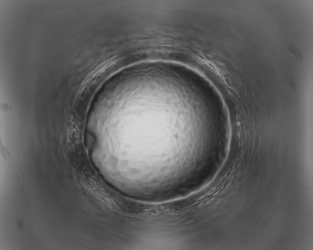 X0000090901159200708061459