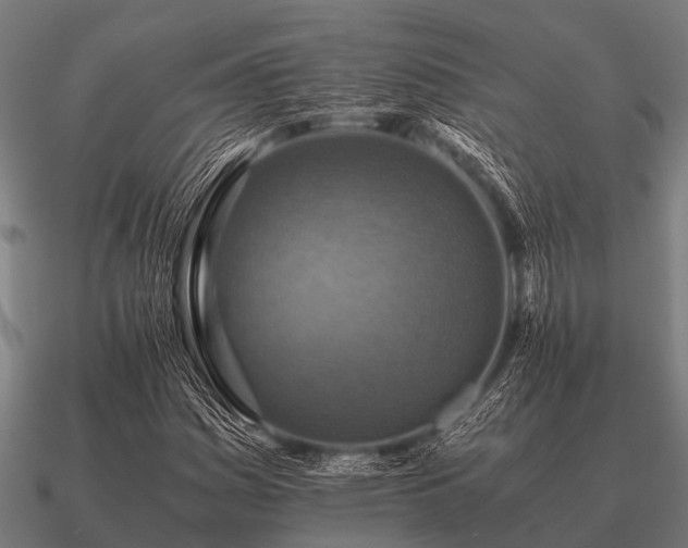 X0000090901161200708061459