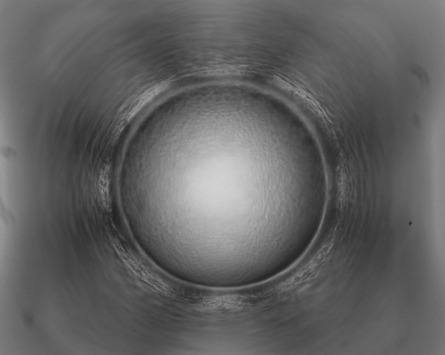 X0000090901162200708061459