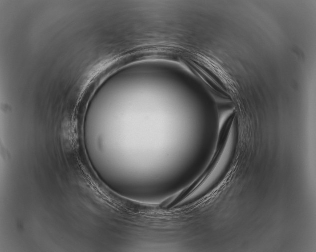 X0000090901164200708061459