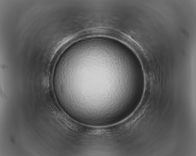 X0000090901166200708061459