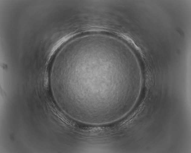 X0000090901167200708061459