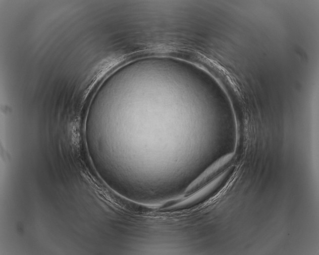 X0000090901170200708061458