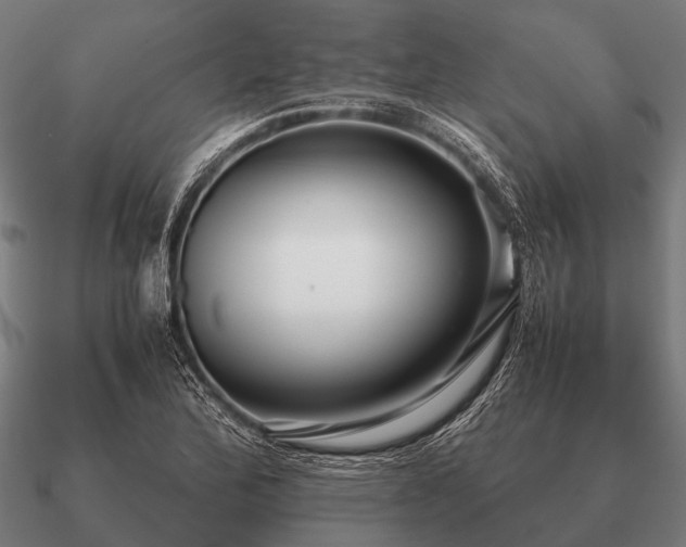 X0000090901172200708061458