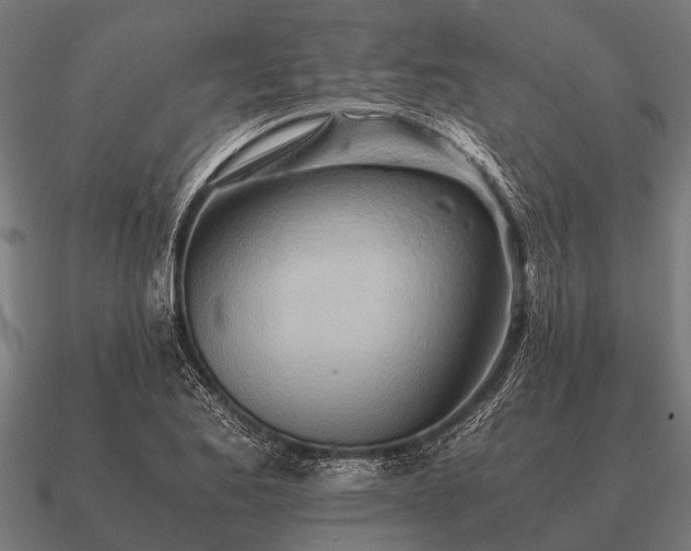 X0000090901173200708061458