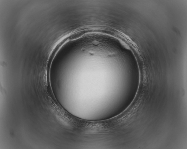 X0000090901174200708061458